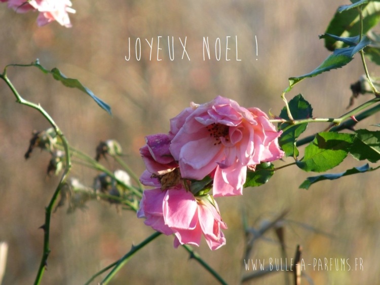joyeux noel 